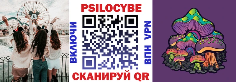 где найти   Себеж  Галлюциногенные грибы Psilocybe 